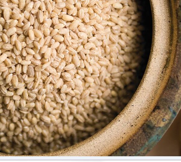 Pressure Cooker Hulless Barley